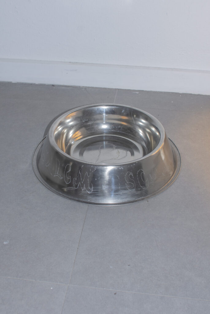 dog bowl